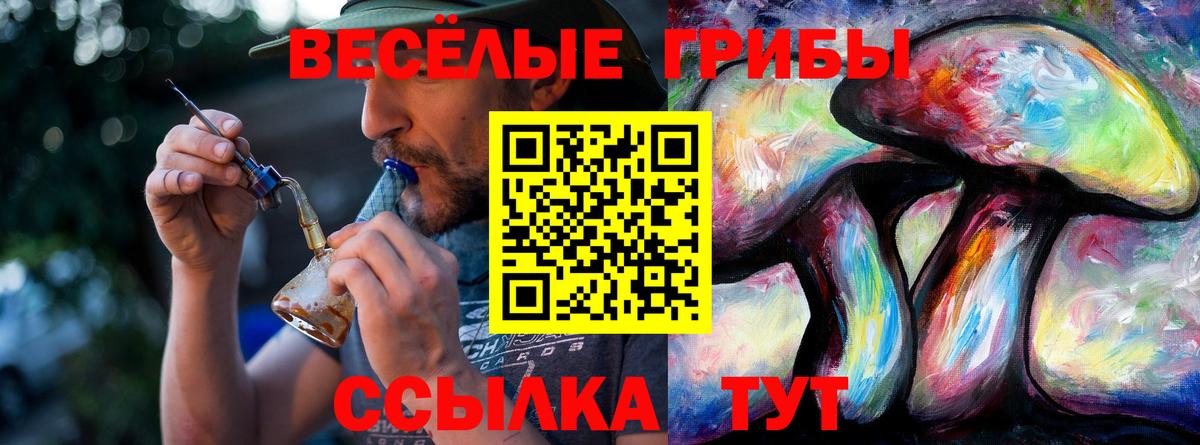 Галлюциногенные грибы MAGIC MUSHROOMS Татарск