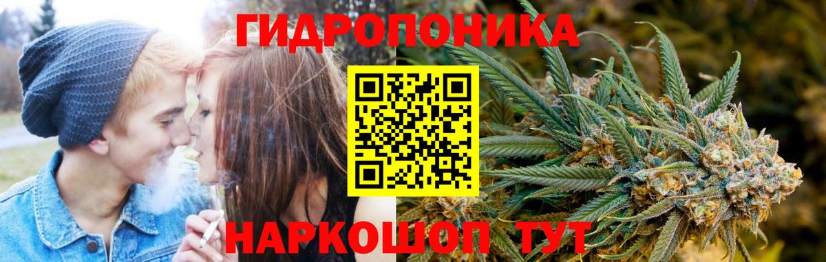 Шишки марихуана марихуана  Конопля индика  Татарск  Канабис конопля  Вход с VPN 